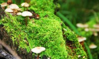 World体能训练全球研讨会：新型训练理念推动行业转型（混用英语）