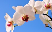 世界体能恢复科研基金第27轮资助申请指南发布，世界体能比赛