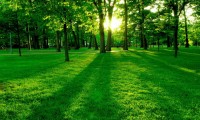 世界举重康复专题讲座巡回：基层理疗师参与度提升，世界举重大师赛